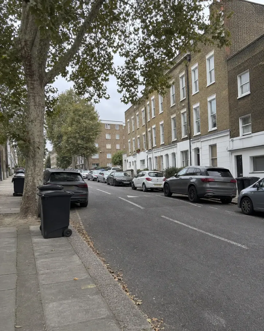 A leafy avenue near Clapham Common, with large mature plane trees arching over parked cars and substantial Victorian terraced houses set behind low front walls